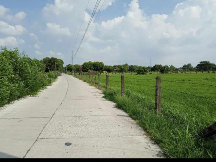 FOR SALE 18.4 Hectares  Residential, Industrial/Agricultural lot  Balibago 2, Tarlac City