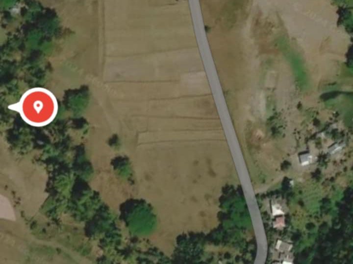 Foreclosed 3 Hectres farm lot for sale in Lambunao Iloilo