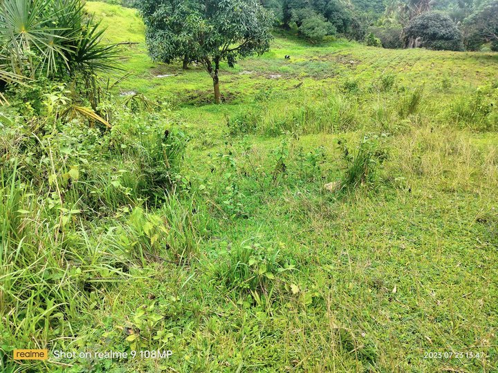 Lot for sale 2 hectares clean title cebu city 1k/sqm net