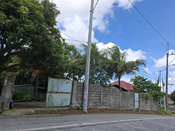 Lot for Sale at Magallanes Drive Tagaytay City