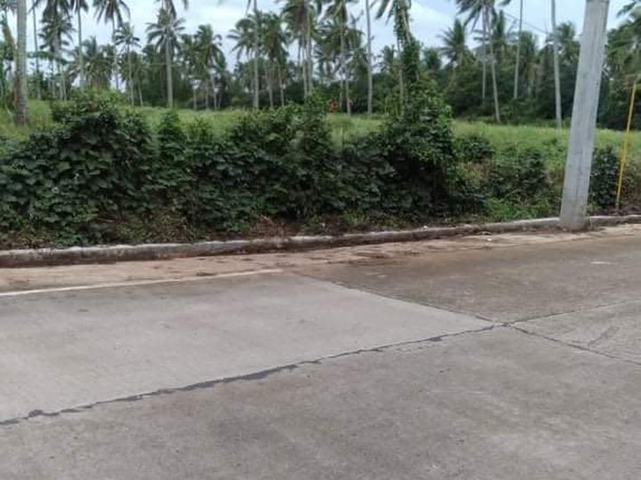 Subdivided Titled Residential Farm lot for sale in Magallanes Cavite