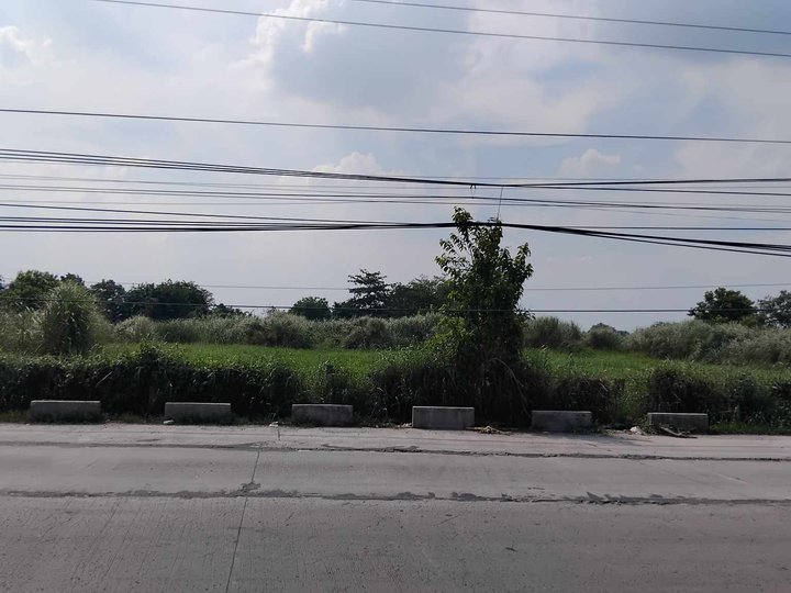 1 Hectare Commercial Lot in Tarlac City