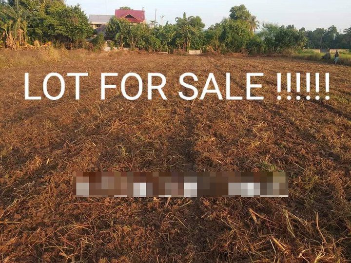 FARM LOT FOR SALE WITH MOTHER TITLE