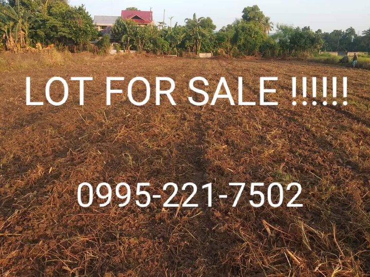 FARM LOT FOR SALE WITH MOTHER TITLE