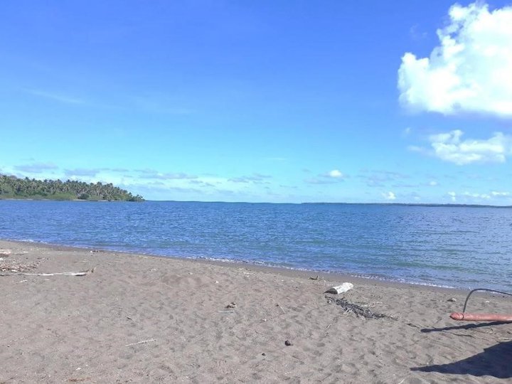 3 Hectares Beachfront (Whitesand) for Sale in Tumarbong Roxas Palawan