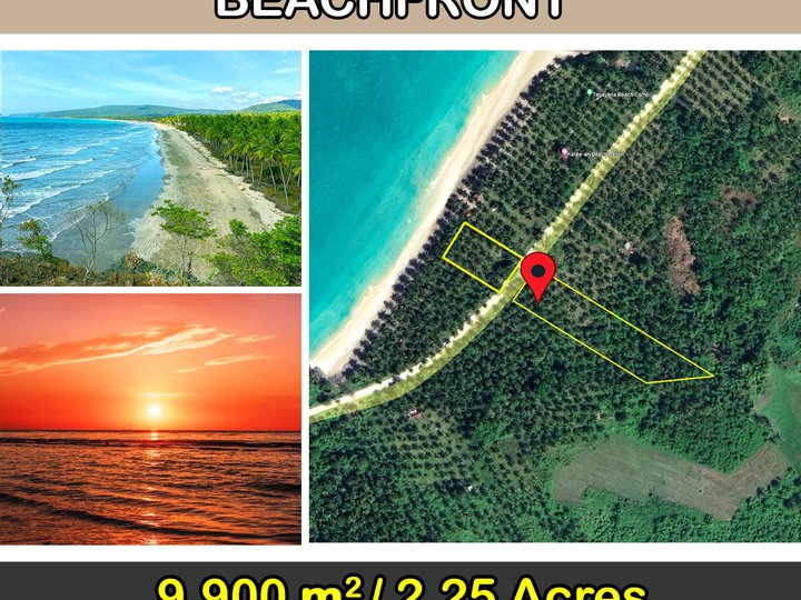 9,900 m2 / 2.44 Acres West Coast Paradise Properties