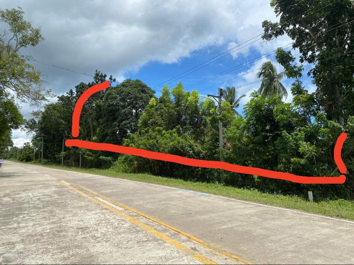 80,000 sqm Agricultural Farm for Sale in Aborlan, Palawan