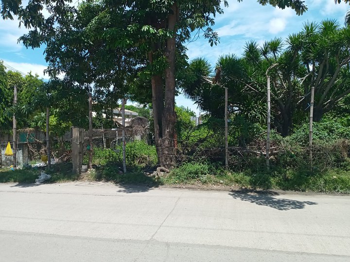 1078 sqm Commercial Lot For Sale in Mactan Lapu-Lapu Cebu