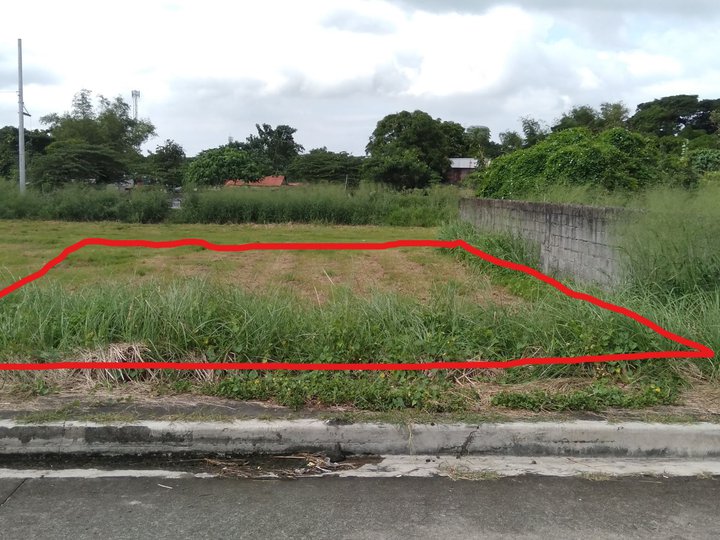 For sale 261 sqm vacant lot in Pallas Athena Classique in Imus (Flood free)