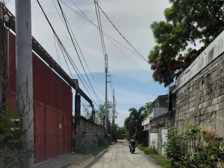 Industrial Lot for Sale in Paranaque JS202503020