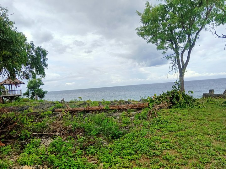 Pre-selling 200 sqm Beach Property For Sale in Alcoy Cebu