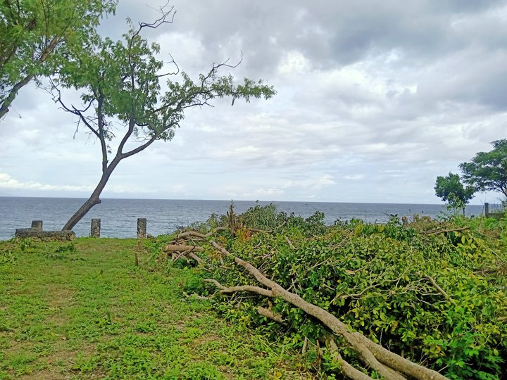 Pre-selling 187 sqm Beach Property For Sale in Alcoy Cebu