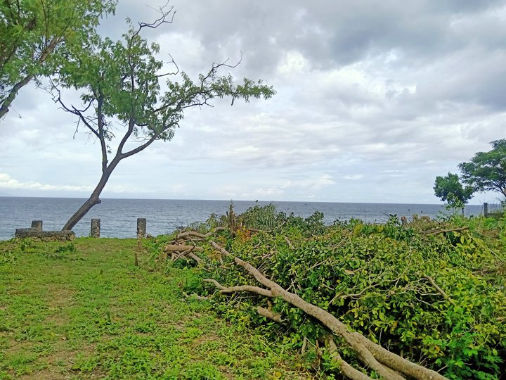 127 sqm Beach Property For Sale in Alcoy Cebu