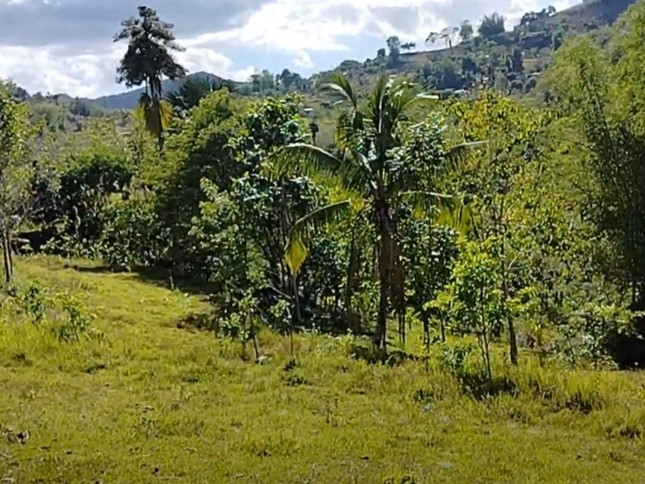 Farm lot for sale 18,000 sqm clean title at Cebu City.