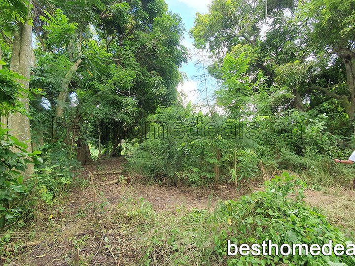 2,003 sqm Agricultural Farm For Sale in Pila Laguna