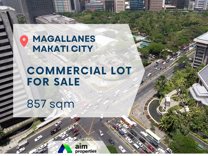 Rare Commercial Vacant Lot For Sale in Magallanes Makati Metro Manila