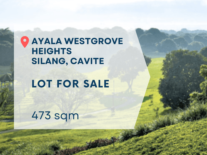 Prime Residential Lots For Sale in Ayala Westgrove Heights, Silang Cavite