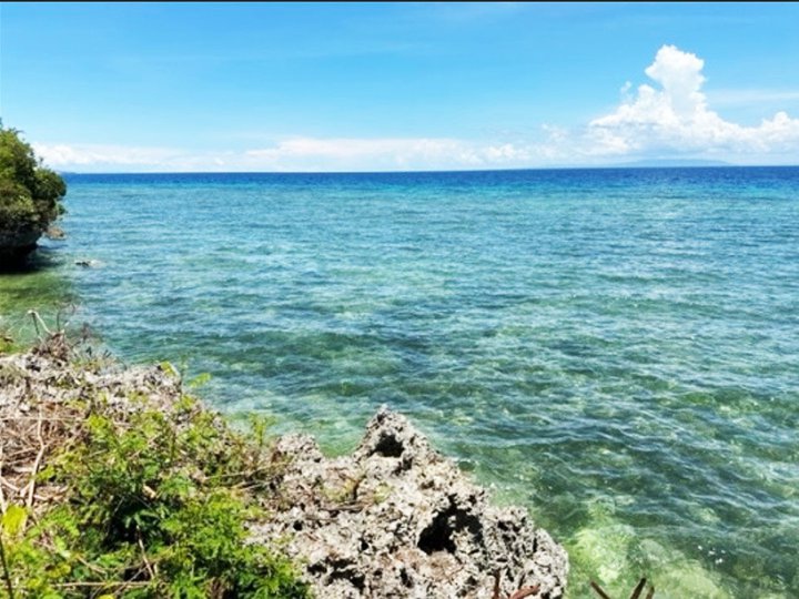 Stunning Beach Lot 2,888 sqm Beach Lot in Alcoy