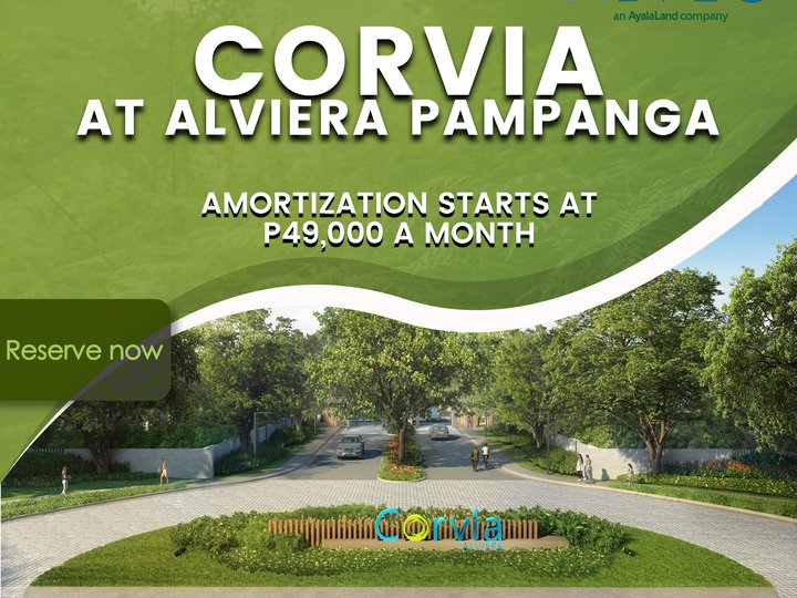 270 sqm Residential Lot For Sale in Alviera Porac Pampanga | Alveo