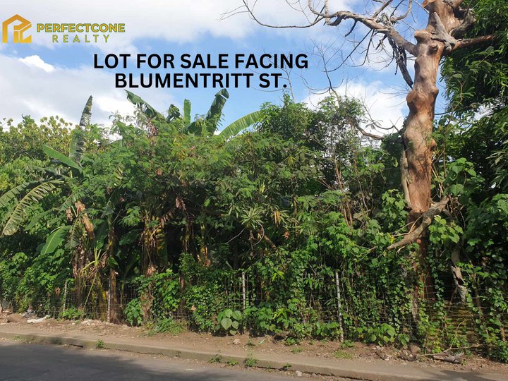 2,447 sqm Lot For Sale in Tinago, Naga City, Camarines Sur