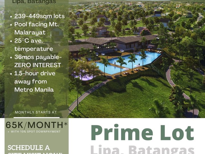 Prime Ayala Lot in Lipa Batangas 238 sqm