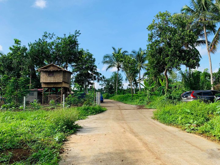 400 sqm Farm lot in Amadeo [Lot 🚜] (November 2022) in Amadeo, Cavite