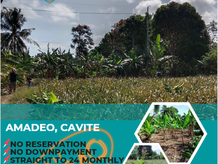 150 sqm Residential Farm For Sale in Amadeo Cavite