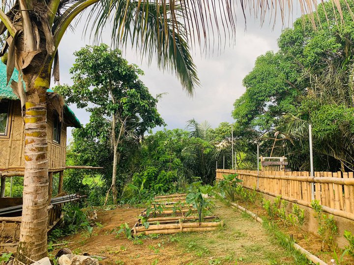 Residential Farm lot near Sonya's Garden and Tagaytay - Retirement