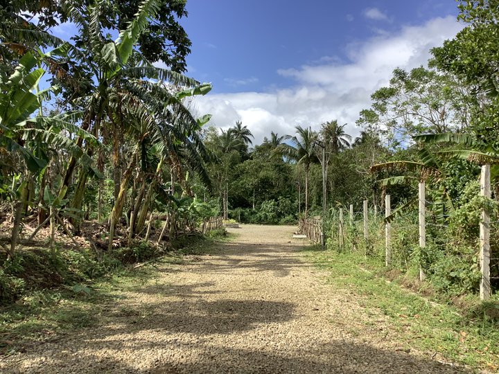 Farm lot in Alfonso Cavite near Twin Lakes Tagaytay