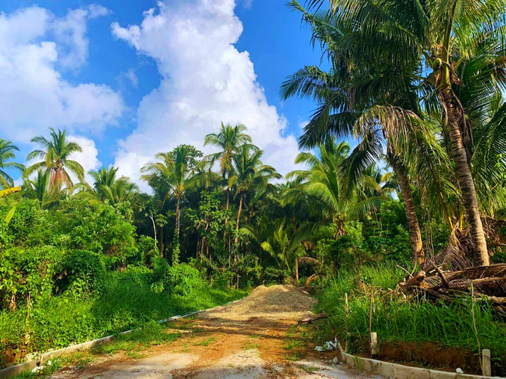 Agricultural lot for sale [Lot 🚜] (August 2023) in Alfonso, Cavite for sale