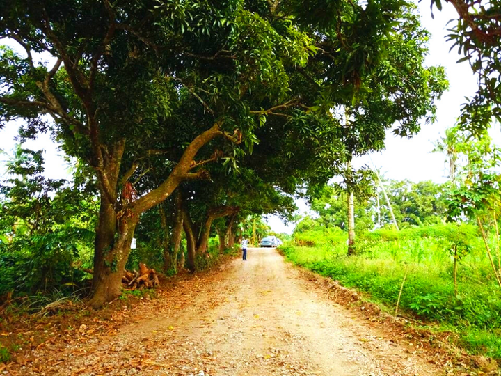 Titled Farm Lot near Tagaytay