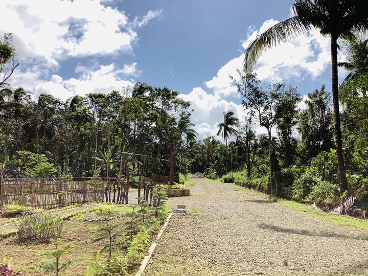 Lot for Farm and vacation house with cold weather near Tagaytay