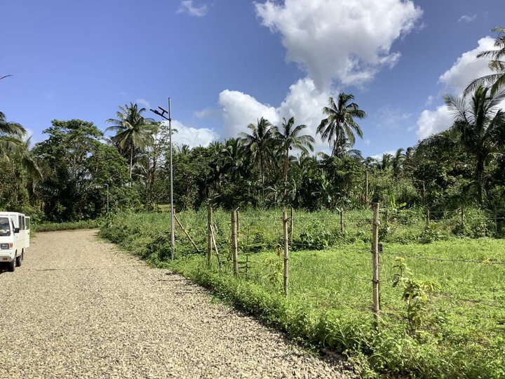 Farm Land near Splendido Tagaytay Lot for sale Gated community [Lot