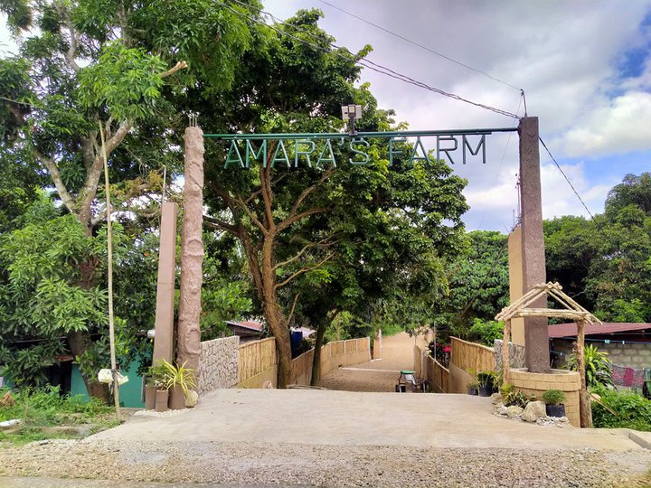Farm Lot for sale - For Residential farming investment near Tagaytay