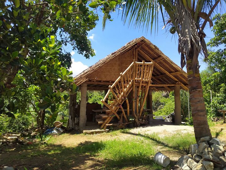 Subdivided Farm Lot in Amara's Farm near Tagaytay with cold weather