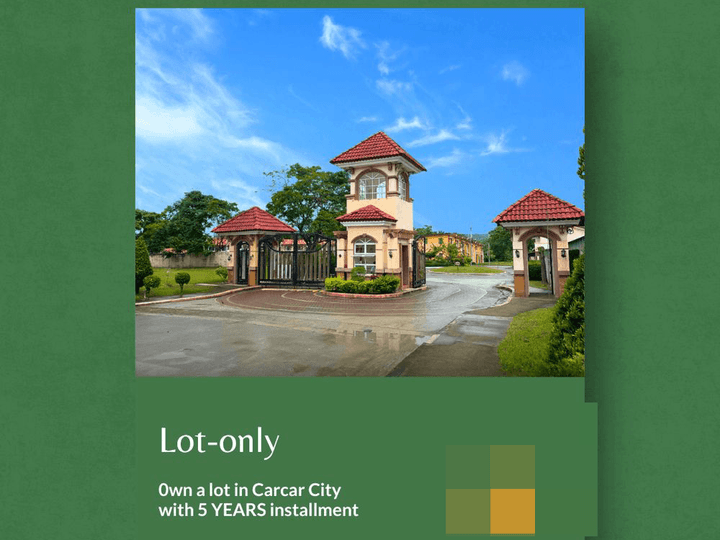 88 sqm Residential Lot For Sale in Carcar Cebu