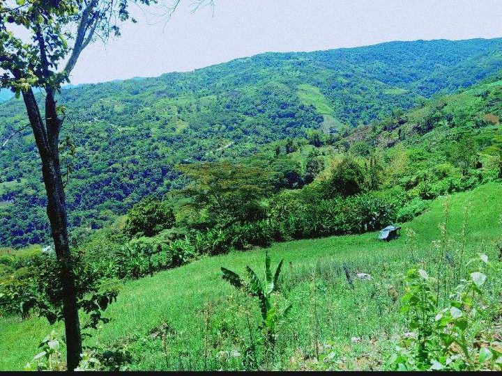4.8 hectares Agricultural Farm For Sale in Impasugong Bukidnon