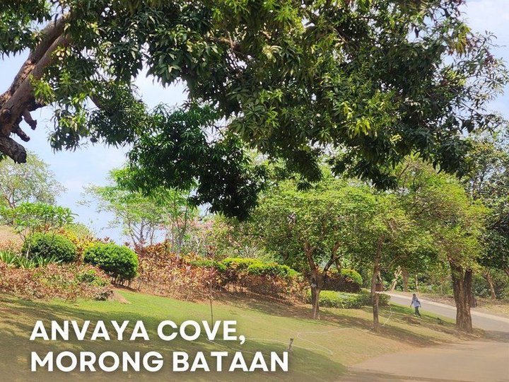 FOR SALE: ANVAYA COVE, MORONG BATAAN