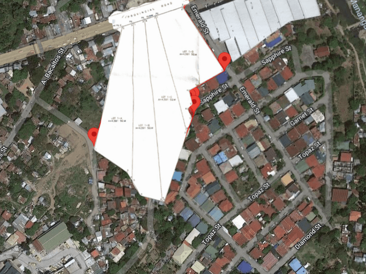 18364sqm Commercial Lot For Sale in Talisay City Cebu