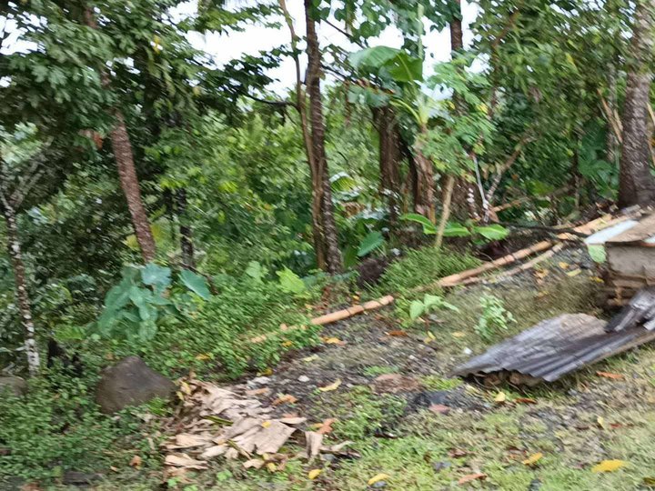 3.7 hectares Farm Lot For Sale in Socorro Oriental Mindoro