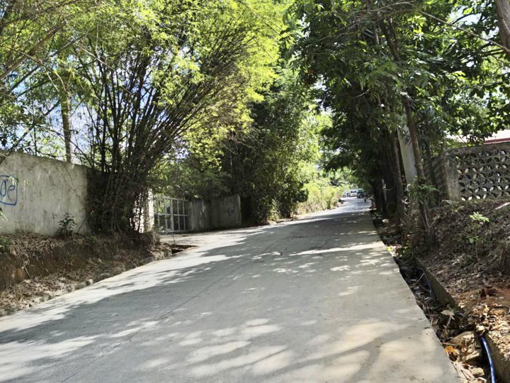 Along Brgy Road Mins away fr Marilaque Hway lot for sale