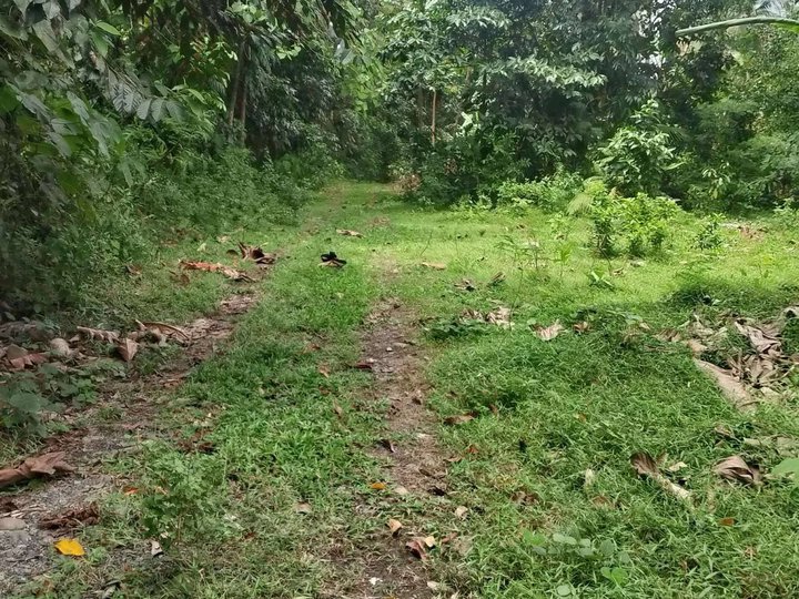 2 hectares Farm Lot For Sale in Pinamalayan Oriental Mindoro