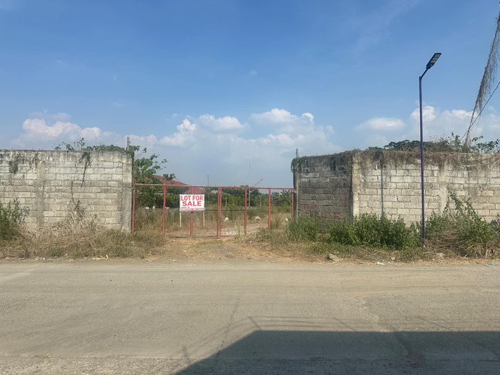 5766 sqm Residential Farm for sale in Penaranda nueva ecija