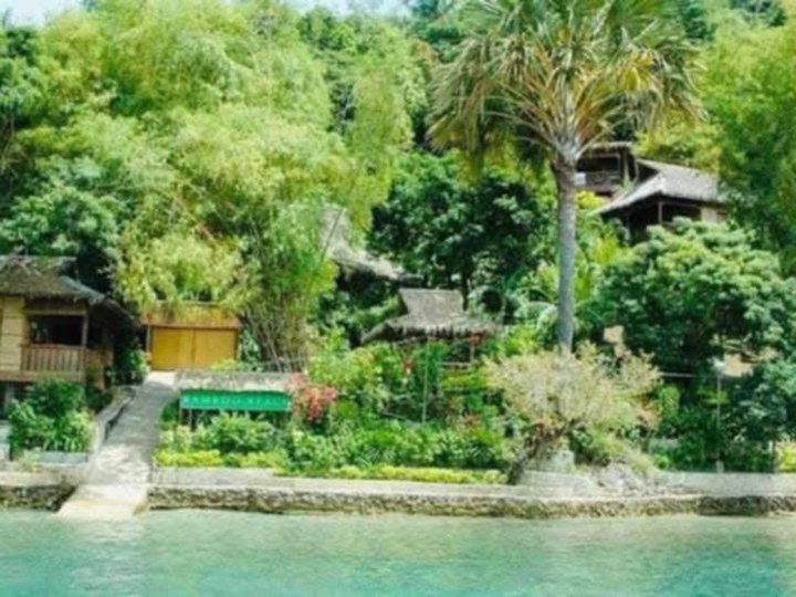 Pre-Owned 2,215 sqm Beach Property For Sale in Puerto Galera Oriental Mindoro