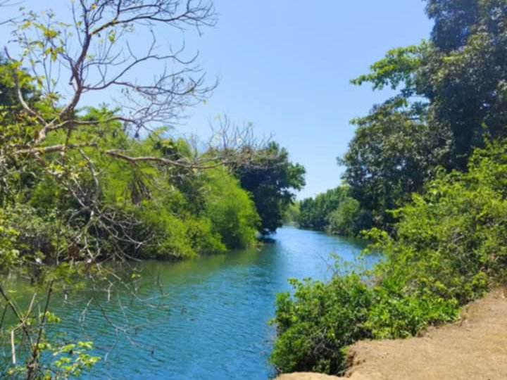 4,041 sqm Lot For Sale in Iba Zambales