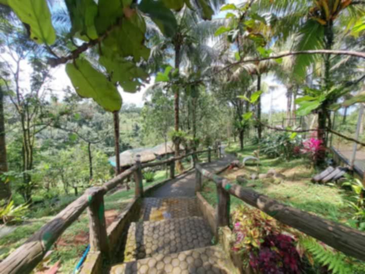 6,961 sqm Residential Farm For Sale in Luisiana Laguna