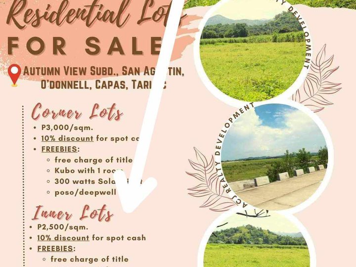 Subdivided Mountain view lots for sale in Bueno, Capas, Tarlac