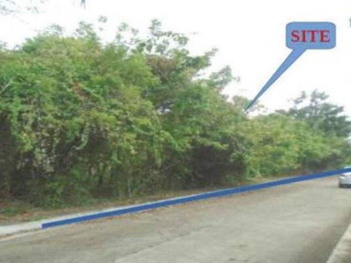 5,265 sqm Residential Lot For Sale in Sta. Monica, Lipa City