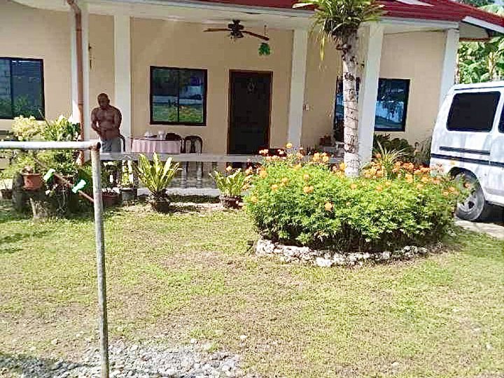 Two House in a Lot with Swimming pool in Barili, Cebu.