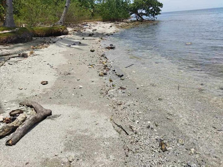 Beach Property with Farm Lot